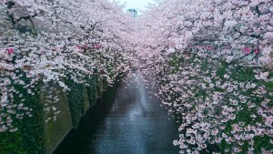 _20160405_110939