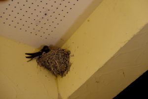 2017_0714_21021300(2)