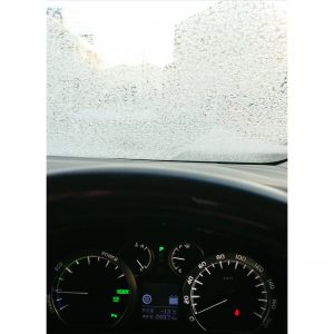 PhotoGrid_1517008023856