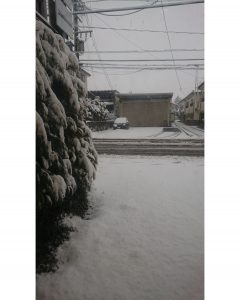 PhotoGrid_1519878678910